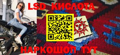 шишки Шелехов