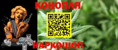 шишки Шелехов