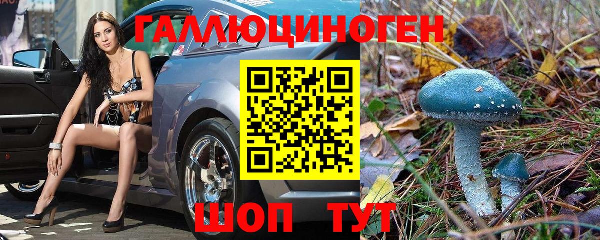 Богородск  Галлюциногенные грибы Psilocybine cubensis  Вход с VPN 