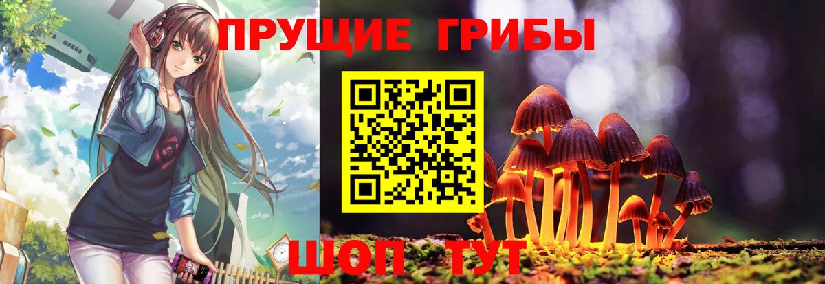 Псилоцибиновые грибы GOLDEN TEACHER Богородск